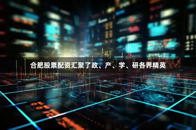 合肥股票配资汇聚了政、产、学、研各界精英