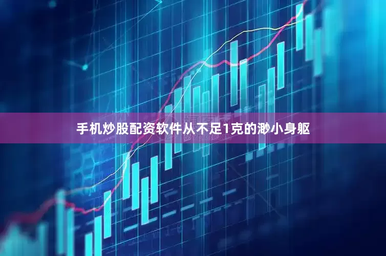 手机炒股配资软件从不足1克的渺小身躯