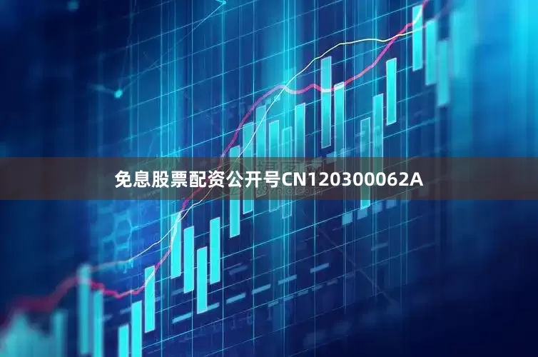 免息股票配资公开号CN120300062A