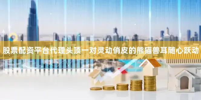 股票配资平台代理头顶一对灵动俏皮的熊猫兽耳随心跃动
