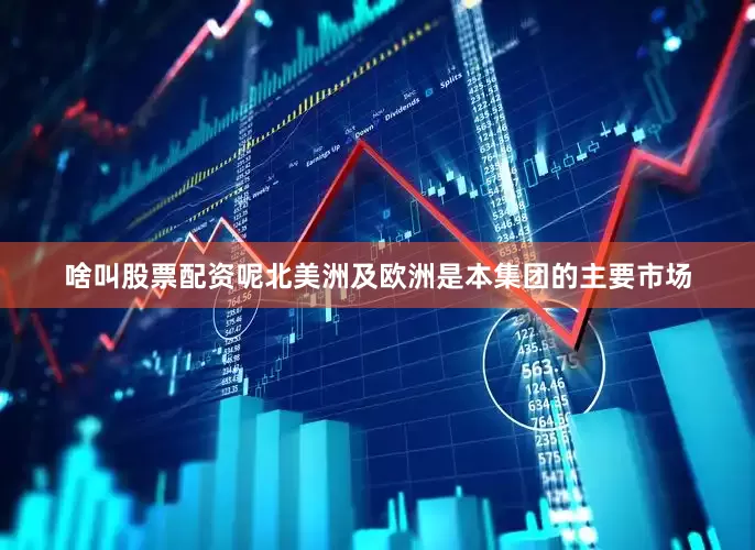 啥叫股票配资呢北美洲及欧洲是本集团的主要市场