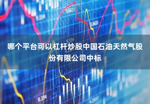 哪个平台可以杠杆炒股中国石油天然气股份有限公司中标